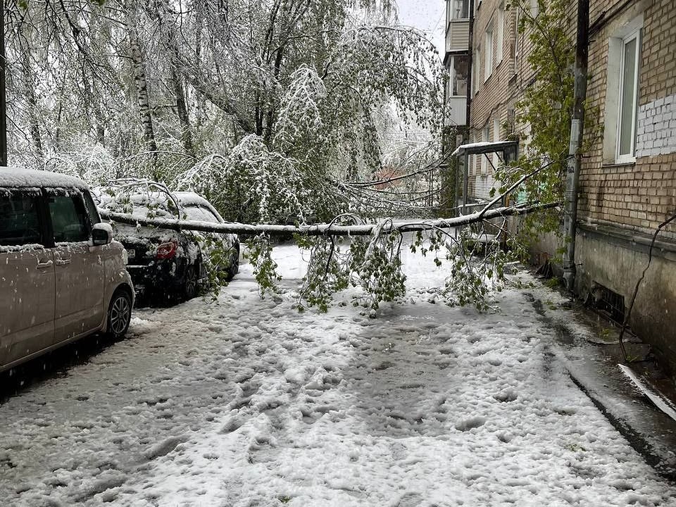 Автопробег и праздник в Сергиевом Посаде перенесли из-за непогоды