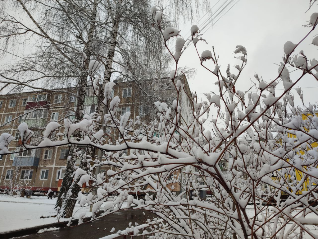 Дождь и мокрый снег обрушатся на Жуковский в ночь на 2 мая