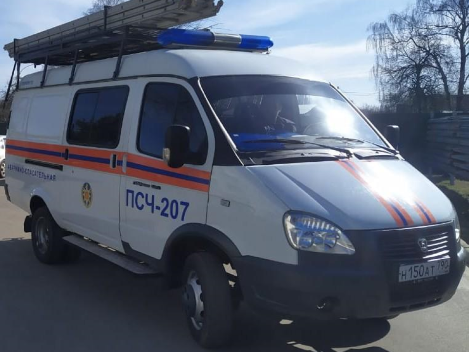 В Серебряных Прудах спасатели вытащили собаку из погреба и нашли ей новый дом