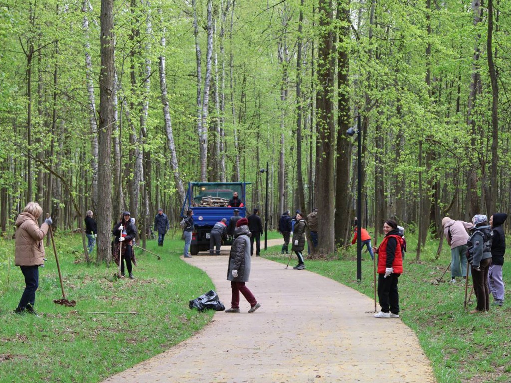 Ступино вошел в число лучших муницапалитетов по итогам «Месяца чистоты»