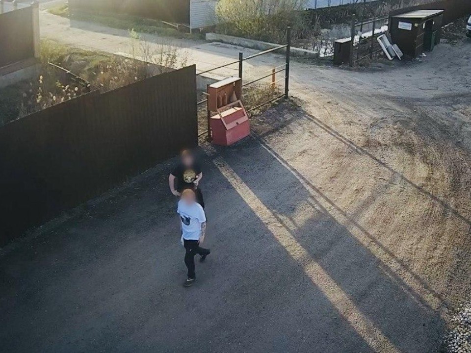 Полиция задержала двоих молодых людей за поджог леса в Балашихе