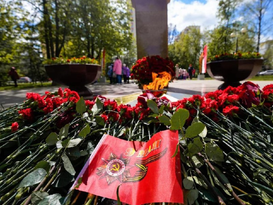 Поисковики Подмосковья за год подняли останки 388 воинов и установили 19 имен