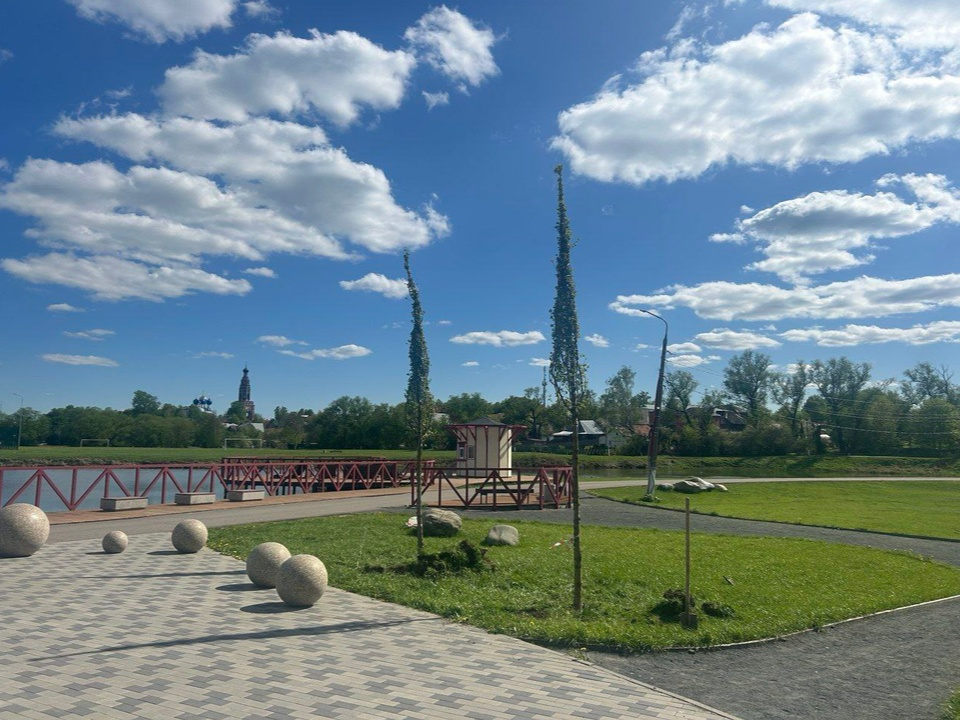 Восемь молодых вязов высадили на «Бронницком лугу»