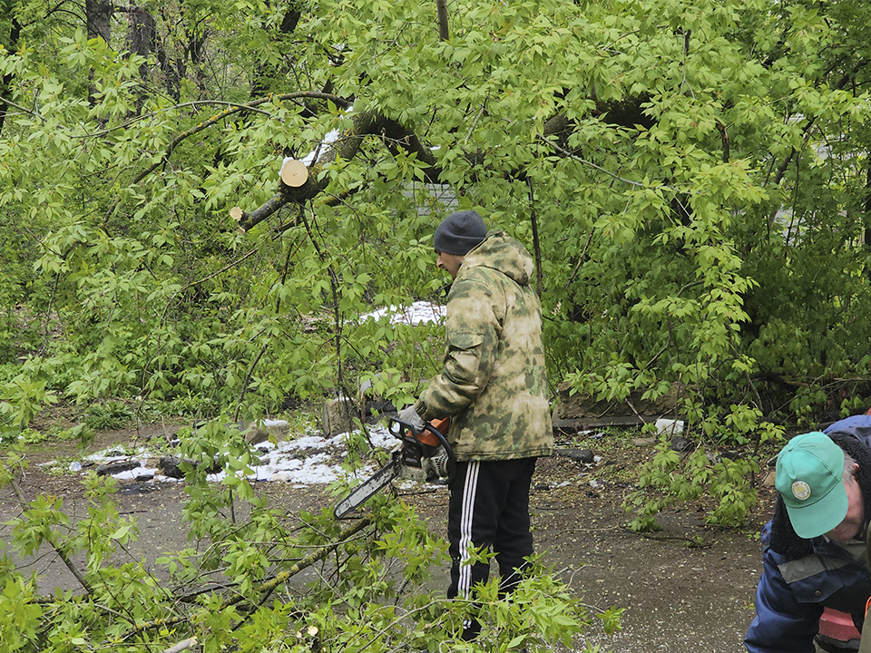 Из 91 упавшего дерева в Долгопрудном уже убрали 34