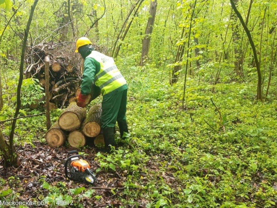 В лесах у деревни Прудки убрали неликвидную древесину