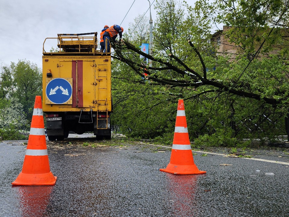 Спасатели устранили последствия непогоды в Снегирях