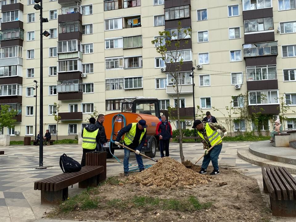 Возле главного лыткаринского мемориала высадили каштан