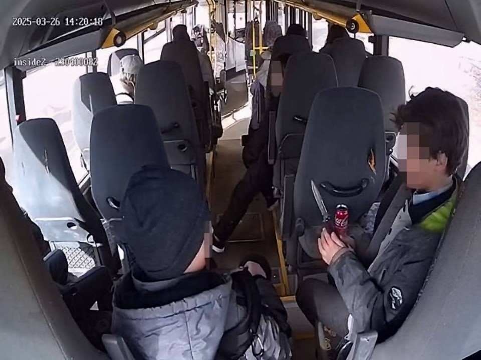 Вандалы, которые испортили автобусы в Волоколамске, попали под суд