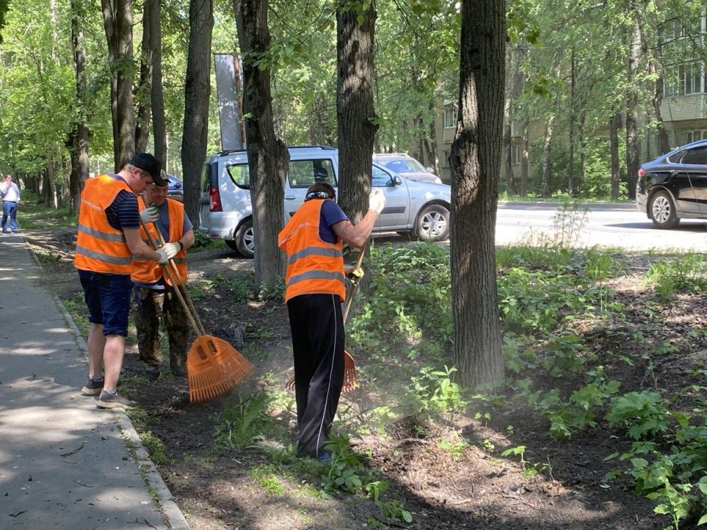 В Пушкино проверили качество уборки двора на улице Маковского