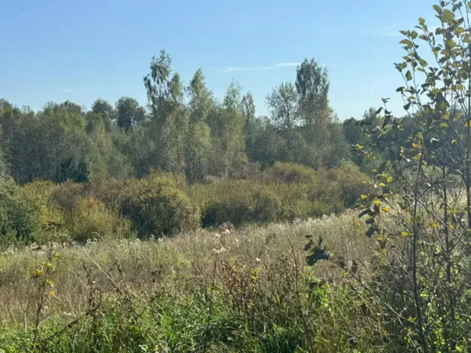 Рост арендных ставок зафиксирован на торгах в Подмосковье