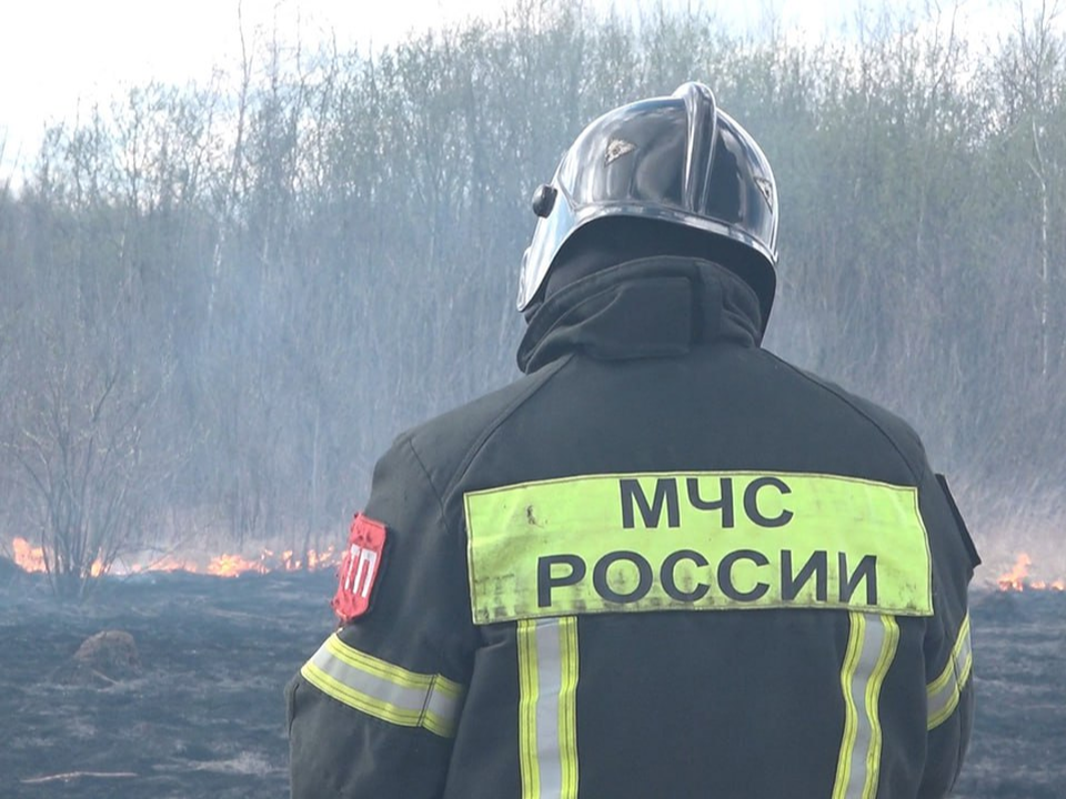 Жители Серебряных Прудов заплатили ₽100 тыс. за разведение огня