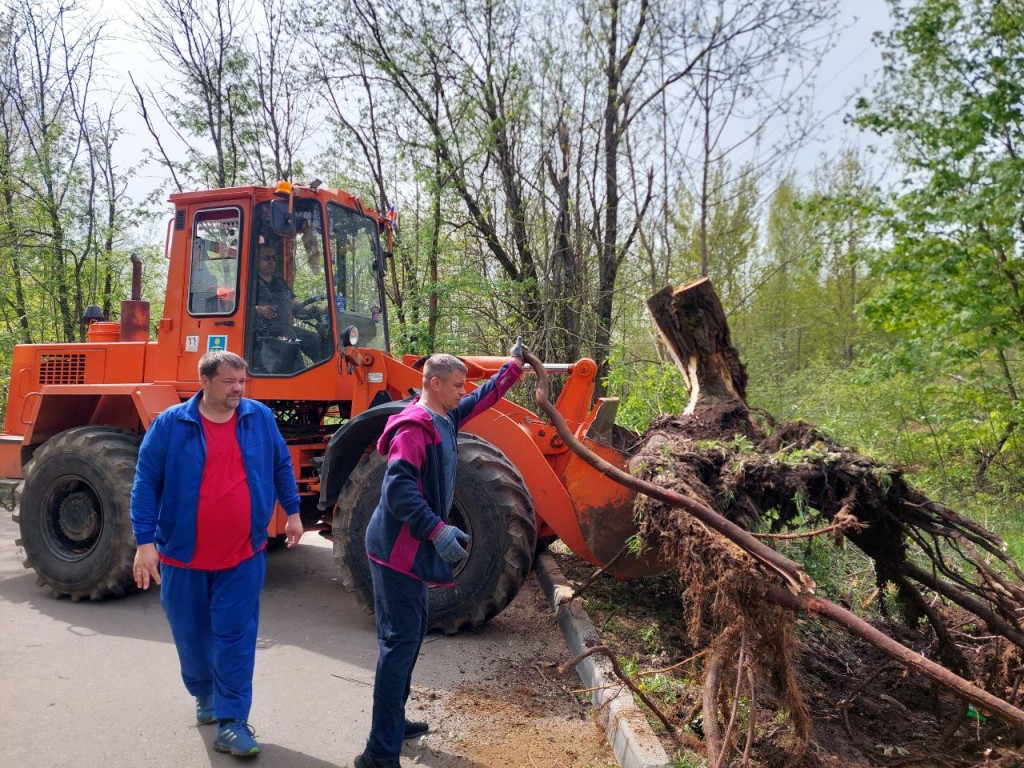 В Солнечногорске убрали поваленные деревья