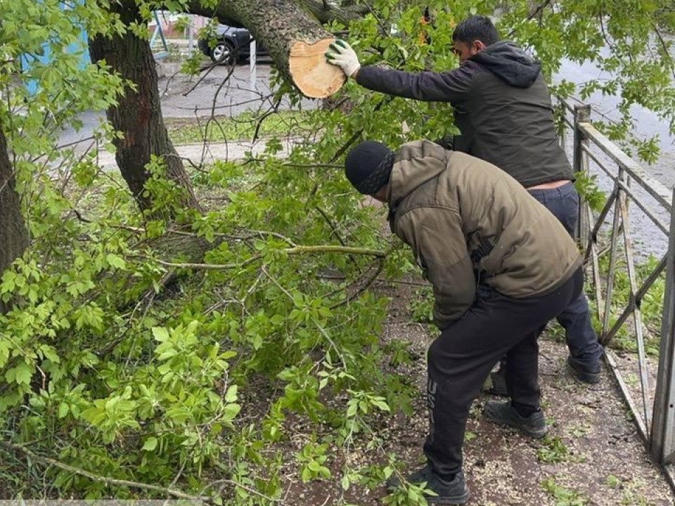В Химках устраняют последствия непогоды: убраны деревья на 41 адресе