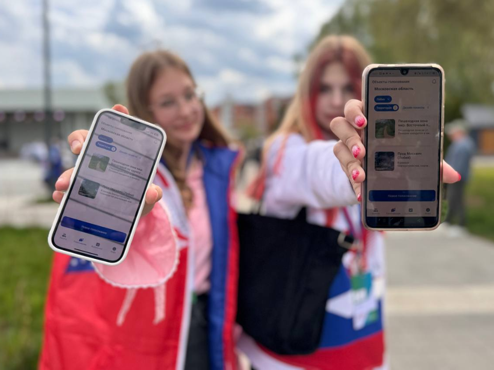 Подольск вошел в число самых активных участников голосования за объекты благоустройства