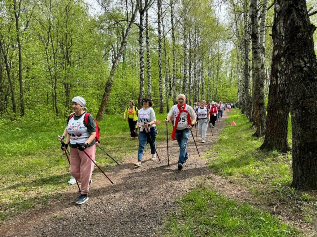Свыше 200 человек пробежали версту в память о 80-летии Великой Победы