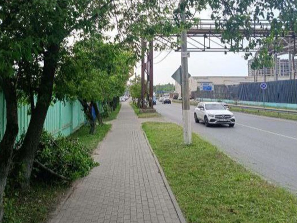 Перегородившее тротуар дерево убрали в Ивантеевке
