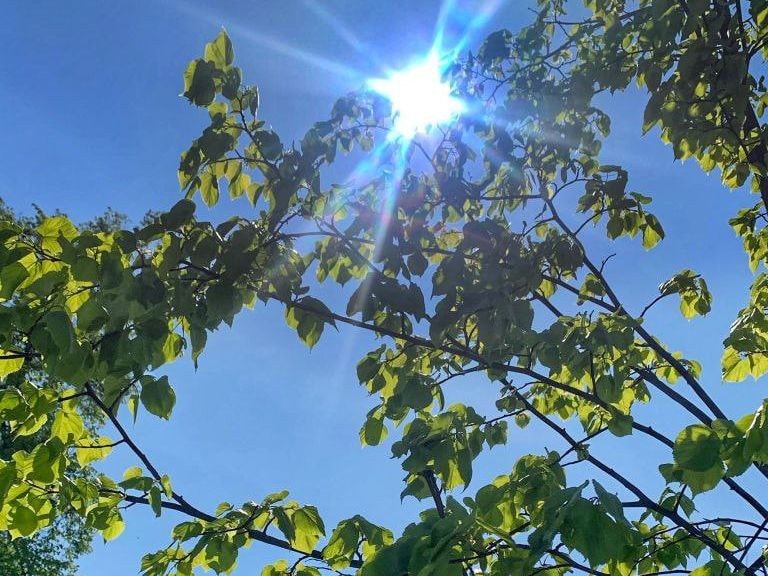 На смену аномальной жаре в Красногорск к выходным придет похолодание
