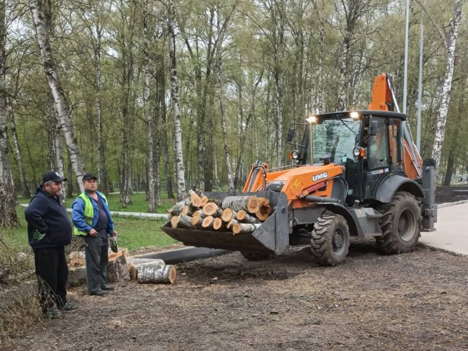 Лобня восстанавливается после непогоды: глава города рассказала о ходе работ