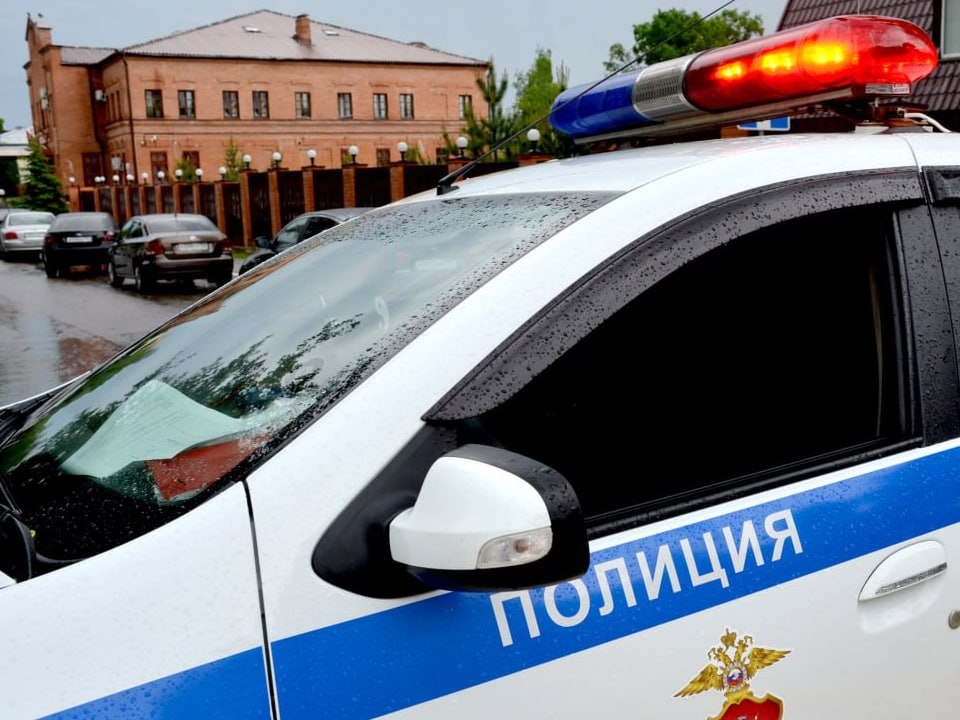 Полиция выехала на место падения собаки из окна в Мытищах