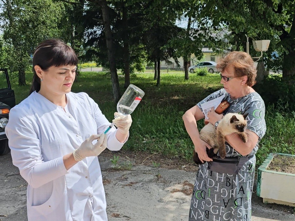 Еще 4 деревни и села в округе Луховицы охватит выездная вакцинация животных от бешенства