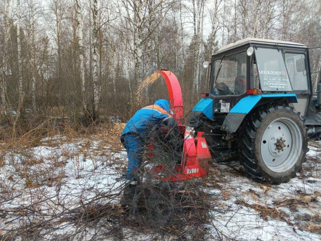 Мособлэнерго сообщило об открытии сезона охоты