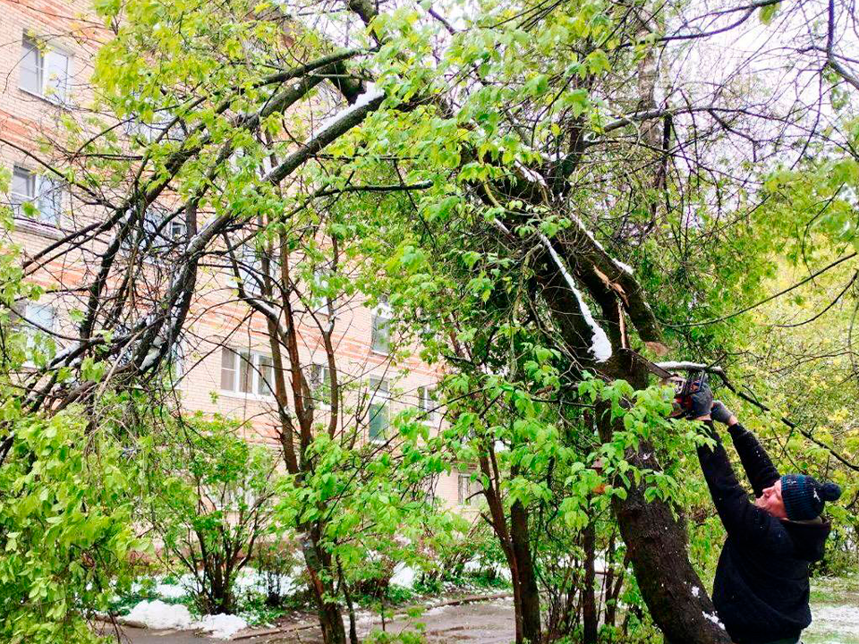 500 деревьев распилено: в Лобне подвели итоги сложного дня из-за непогоды