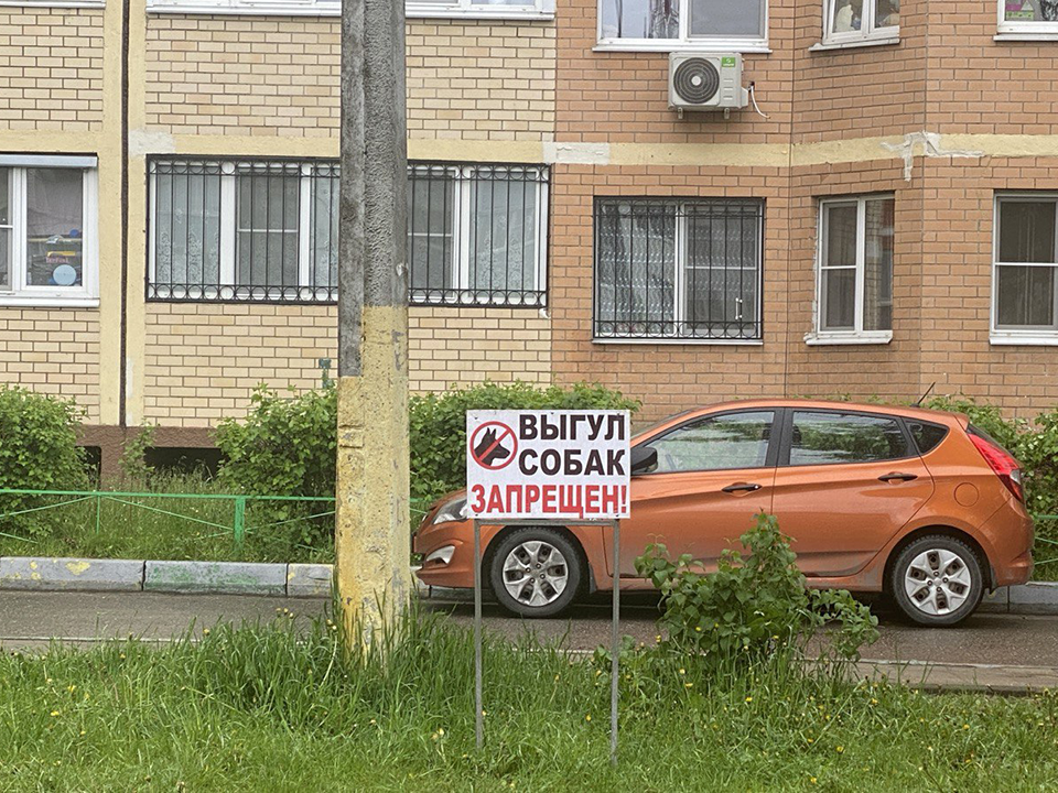 Коммунальщики в Ивантеевке убрались на детской площадке и избавили ее от собак