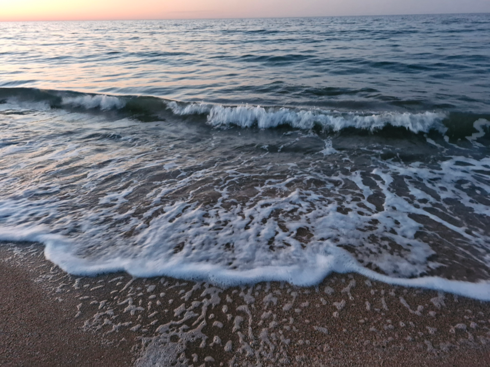 Когда прогреется вода в Черном море: жители Люберец планируют отпуск