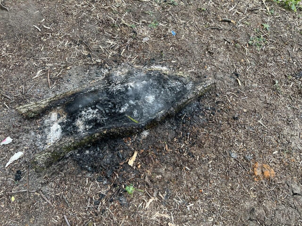 В Ленинском округе прошел рейд по охране памятника природы «Суханово»
