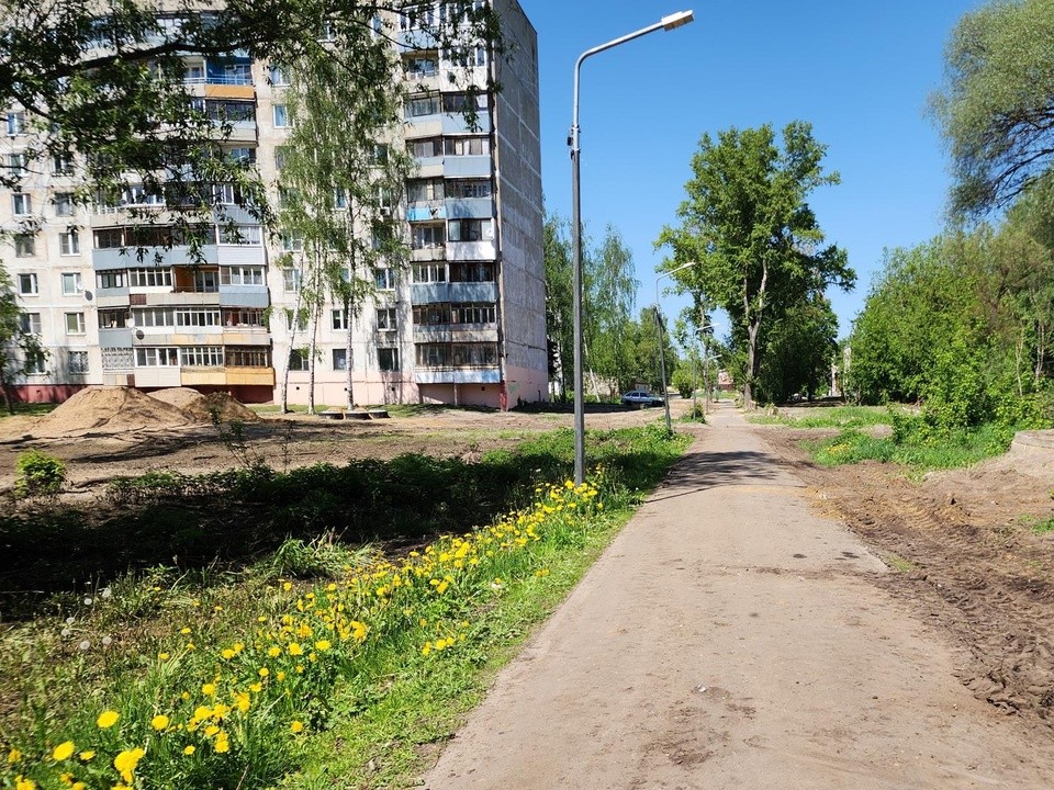 В Ликино-Дулеве подготовили место для уникального парка