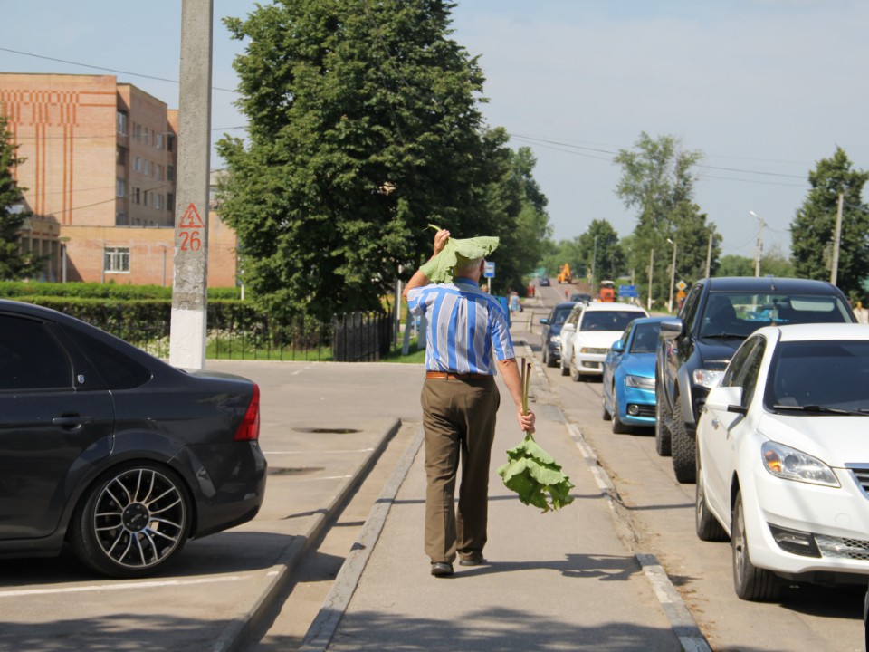 Как пережить жару рассказали сотрудники парка в Волоколамске