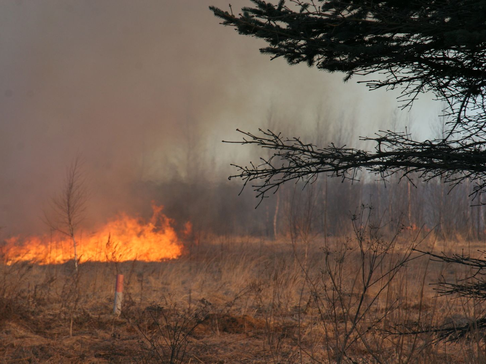 В Реутове введен особый противопожарный режим