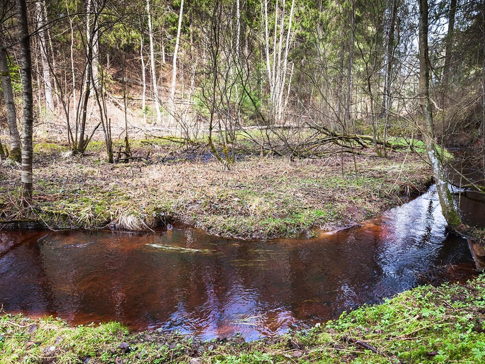 Токаревский пруд в Люберцах очистили более чем от 800 куб. м отходов