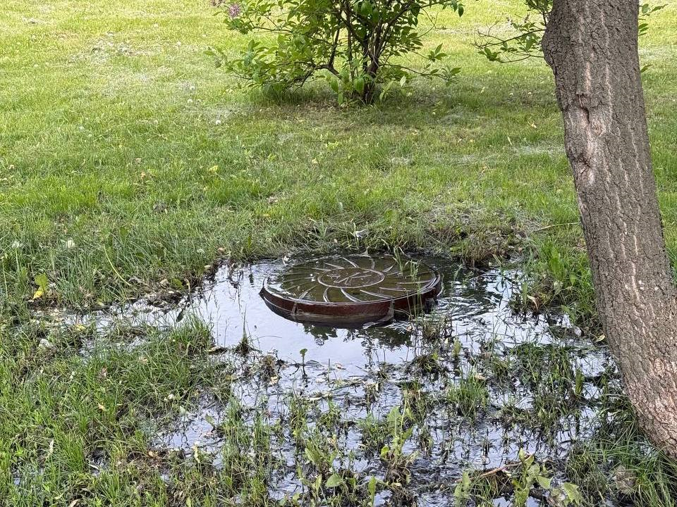 Экологи Мытищ устраняют причины загрязнения реки Работни автомойкой