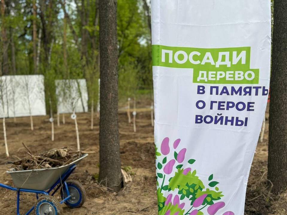 Жителей Балашихи приглашают к участию в акции «Сад памяти»