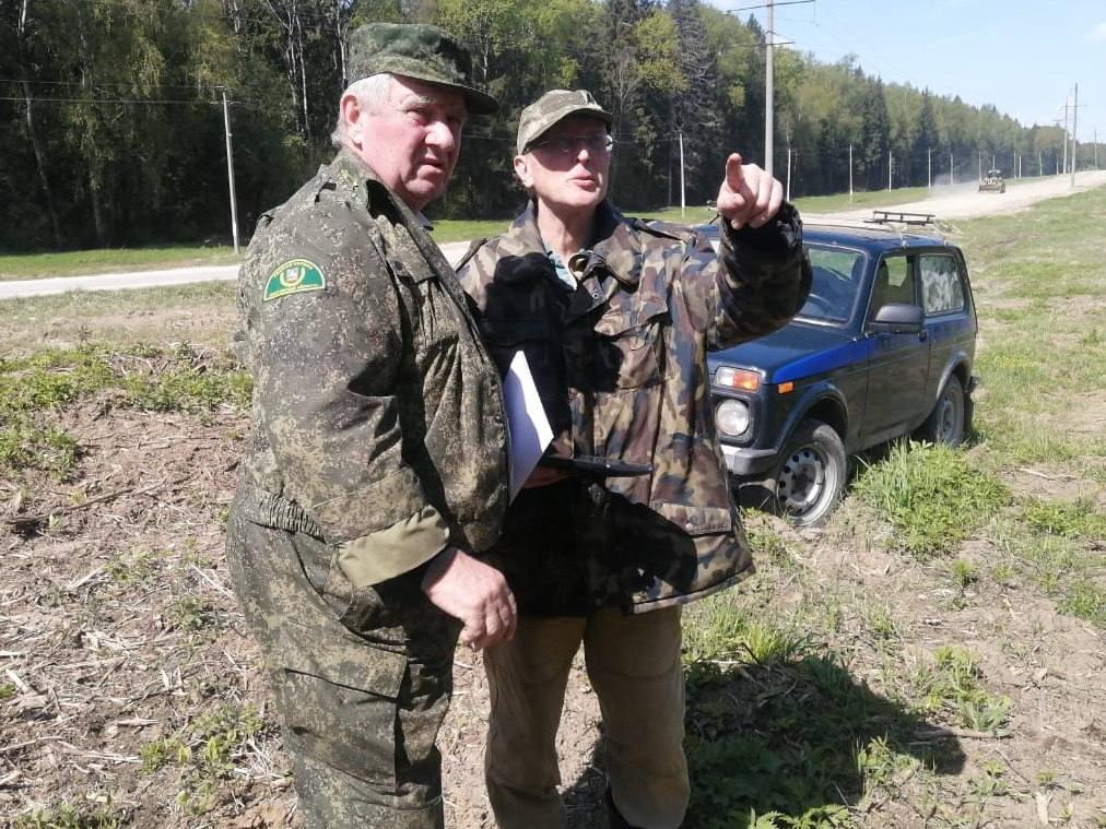 В Наро-Фоминском лесу будут бороться с очагами поражения деревьев