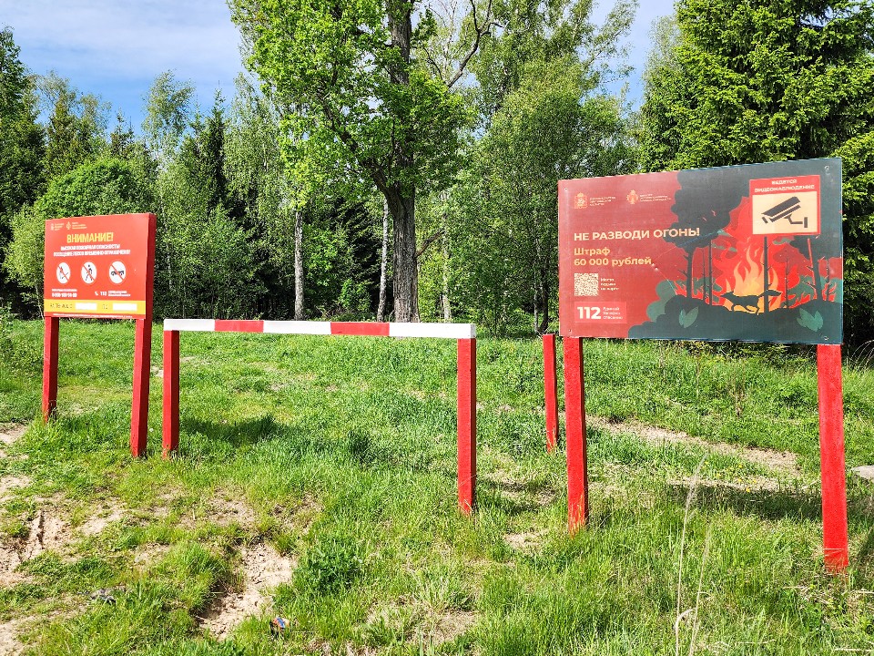 Шашлыки в звенигородских лесах отменяются
