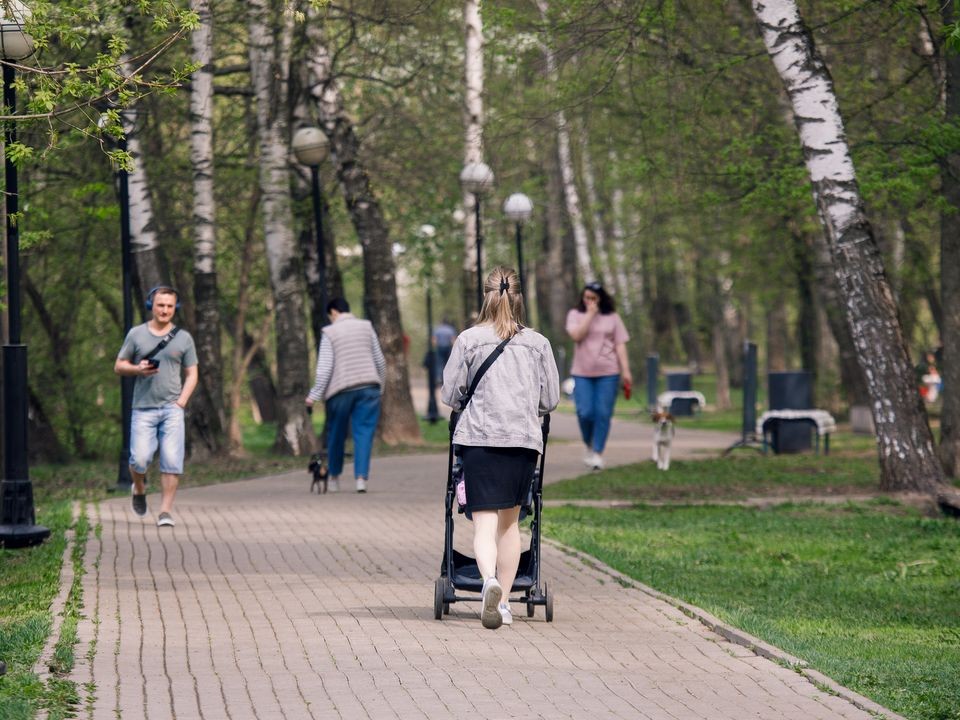 Летнее тепло ждет Московский регион в выходные