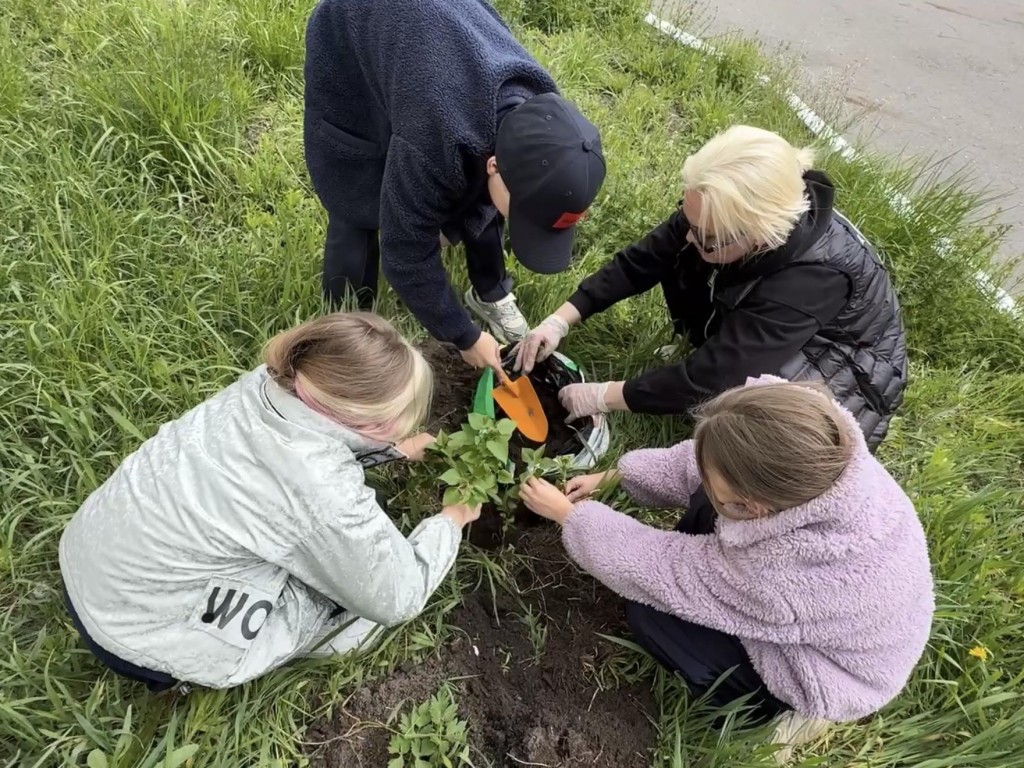 Кусты сирени и жасмина посадили третьеклассники во дворе гимназии в Раменском