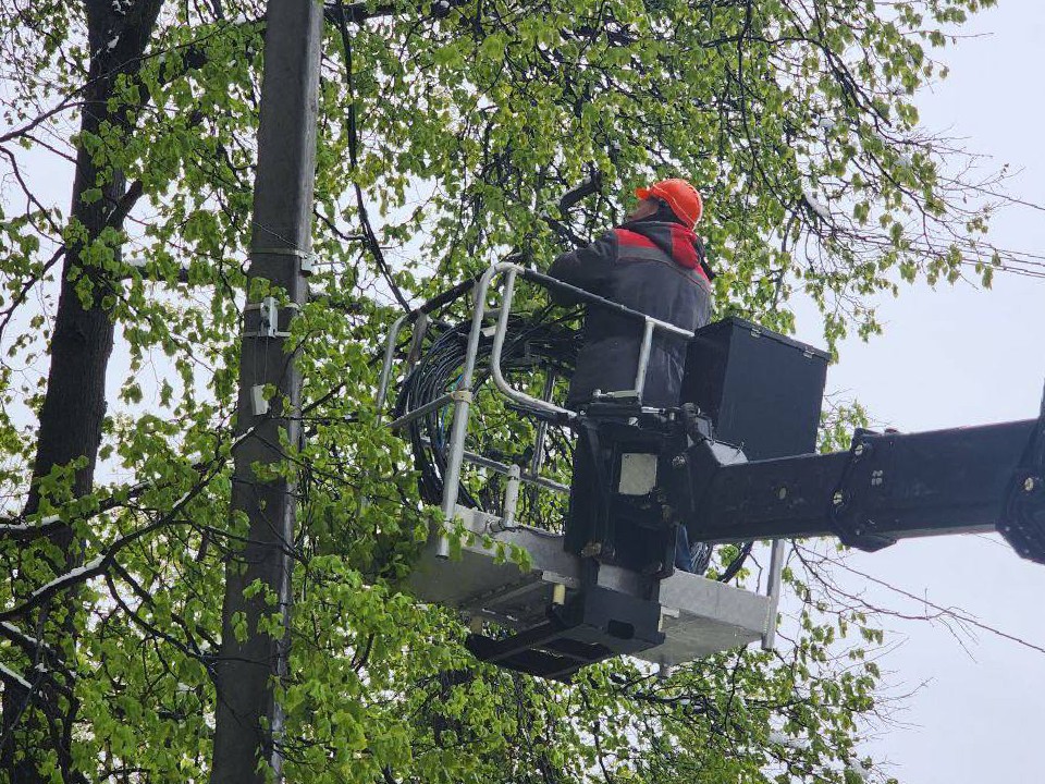 Обесточенным СНТ Дмитровского округа сообщили важную информацию