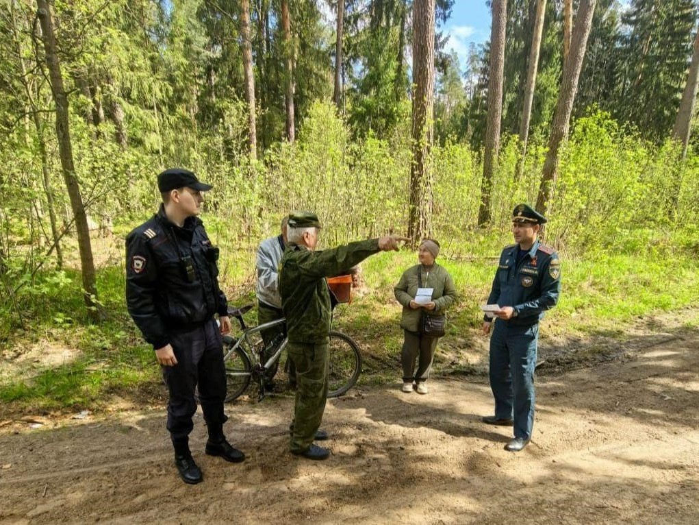 В лесах Орехова-Зуева усилили контроль за соблюдением правил пожарной безопасности