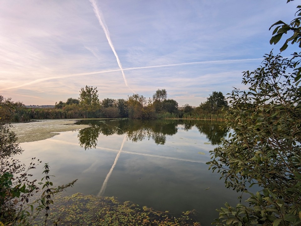 Озеро Долгое в Серпухове ждет масштабная очистка