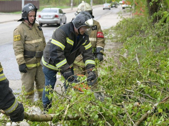 С территории Сергиево-Посадского округа вывезли 3 тыс. поваленных деревьев