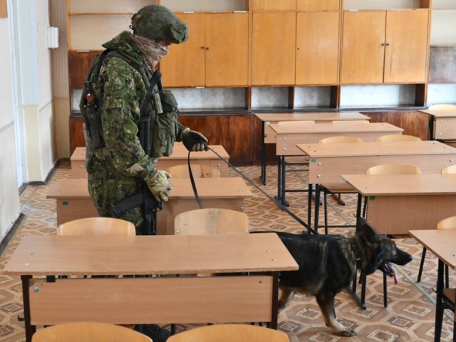 Экстренные службы обследуют школу в Рождествено из-за сообщения о минировании