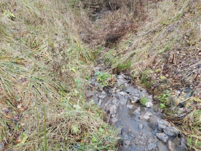Пойманы нарушители природоохранного законодательства у реки Носовка
