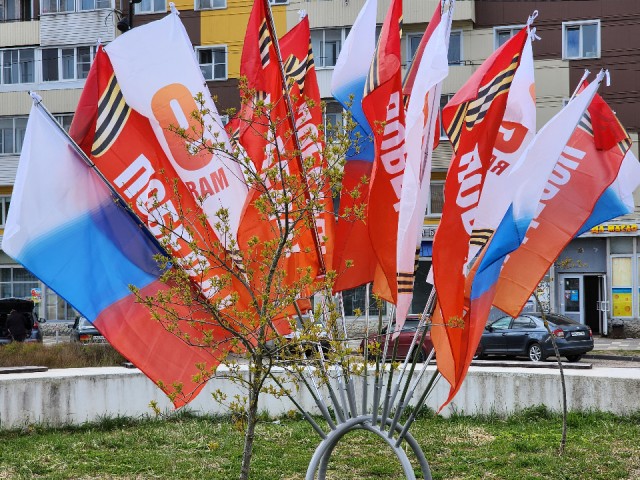 Преступление и раскаяние: укравший флаг звенигородец вернул его манекену солдата