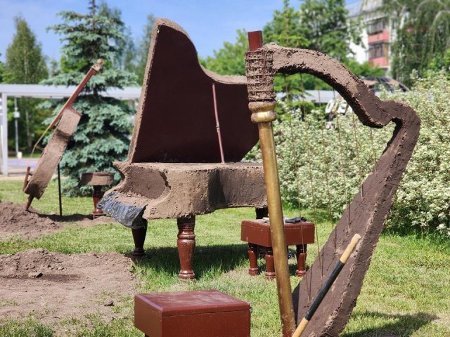 Стало известно, где в Королеве можно будет сделать красивые фото с цветущей арфой