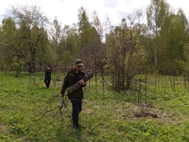 Лесники и школьники провели субботник в Парке Победы в Лотошине