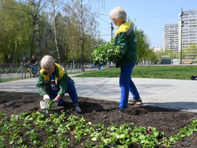 Ленинский городской украсят сотни тысяч цветов