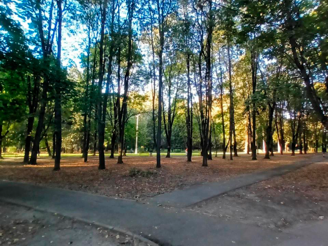 Свыше 1300 голосов оставили королевцы за Старый парк в голосовании